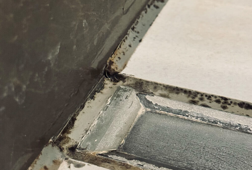 Rivium Boulevard Rotterdam in detail