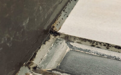 Rivium Boulevard Rotterdam in detail